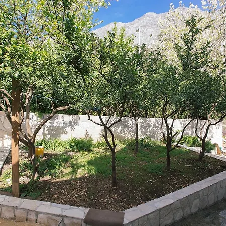 Studio Jeff 1 Apartment Kotor Exterior photo