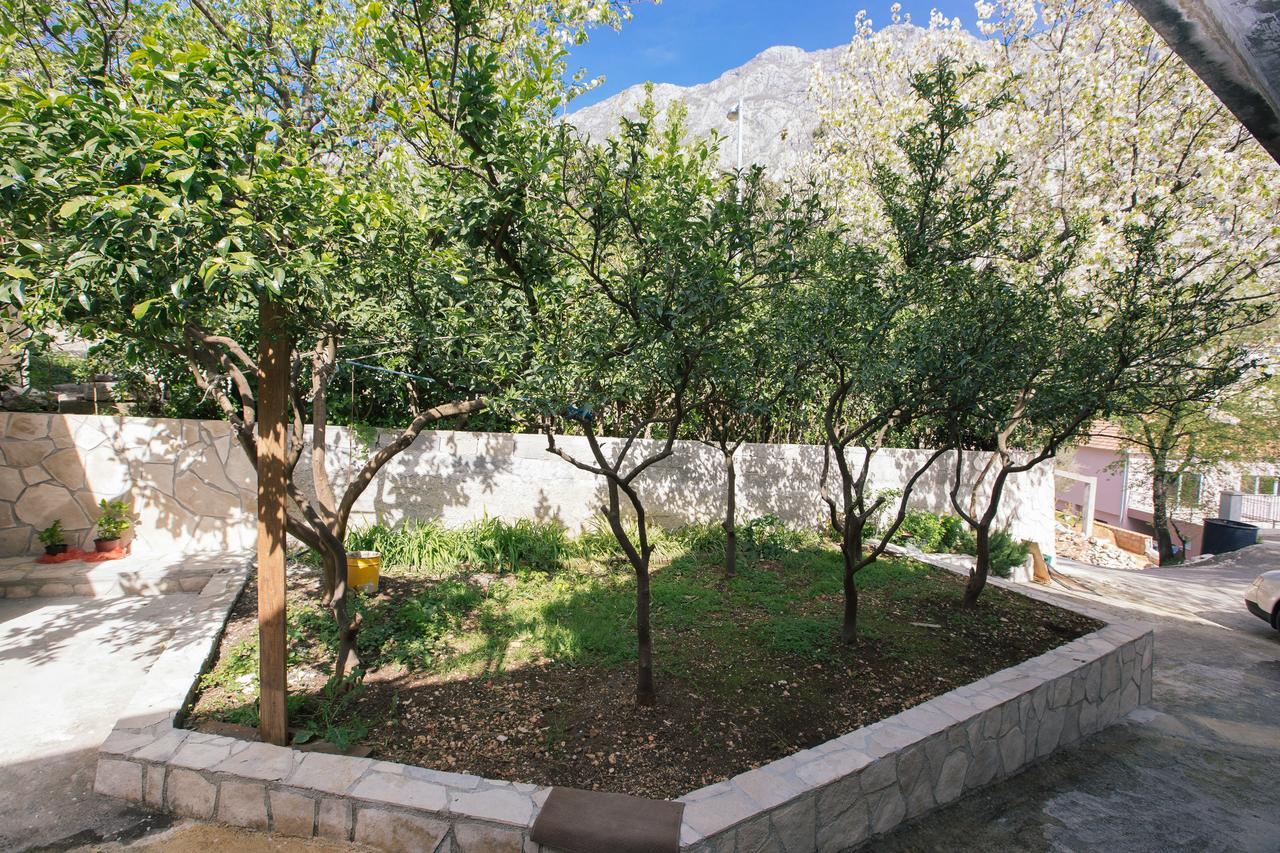 Studio Jeff 1 Apartment Kotor